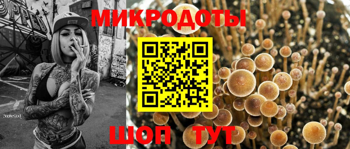 Тара  Псилоцибиновые грибы прущие грибы  Вход с VPN  Псилоцибиновые грибы MAGIC MUSHROOMS 