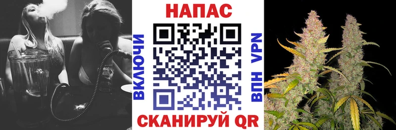 Канабис гибрид  Тара 