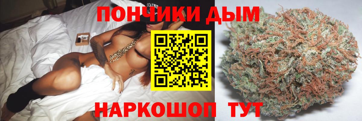 Канабис сатива Тара